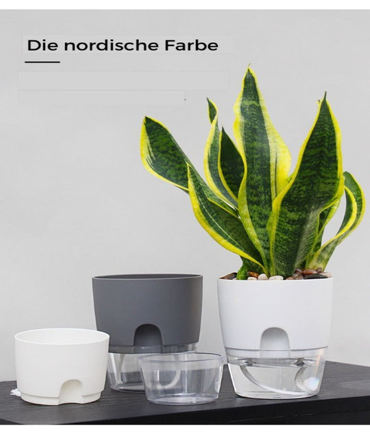 Selbstbewässernder Blumentopf