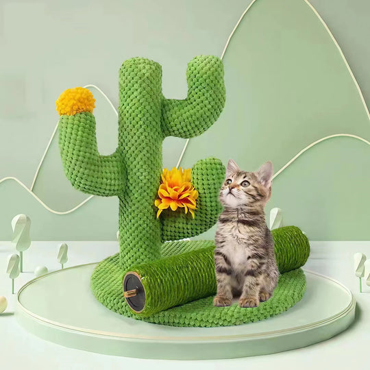 Cactus Cat