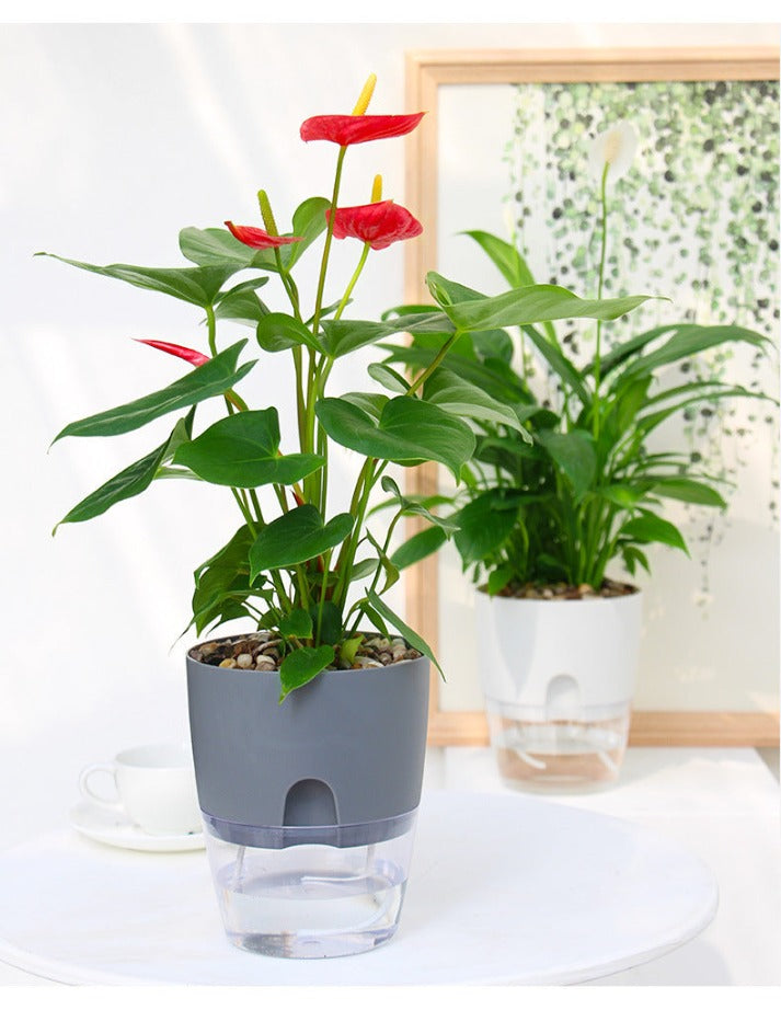 Selbstbewässernder Blumentopf