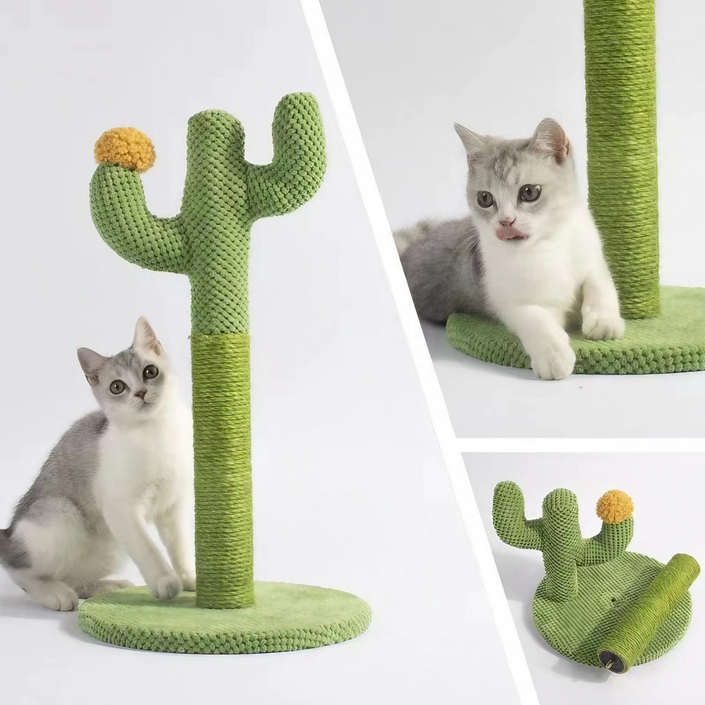 Cactus Cat