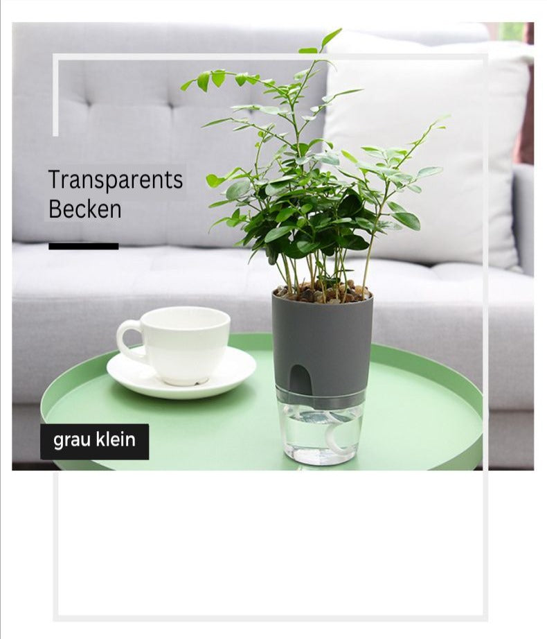 Selbstbewässernder Blumentopf