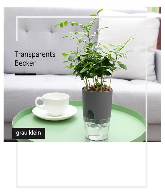Selbstbewässernder Blumentopf