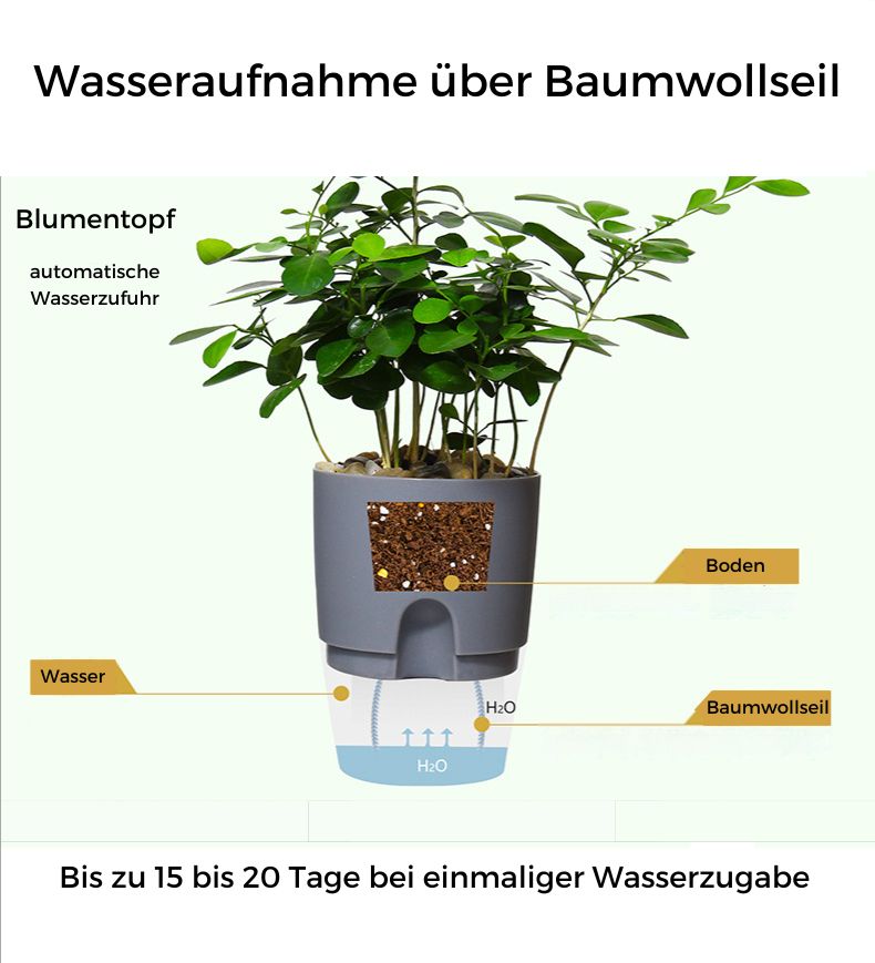 Selbstbewässernder Blumentopf
