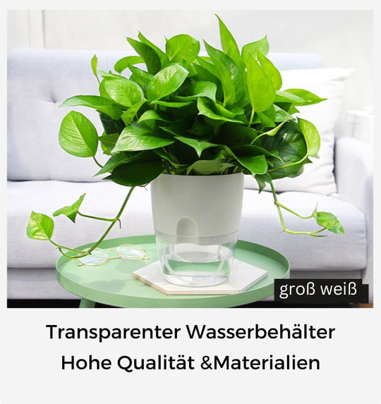 Selbstbewässernder Blumentopf