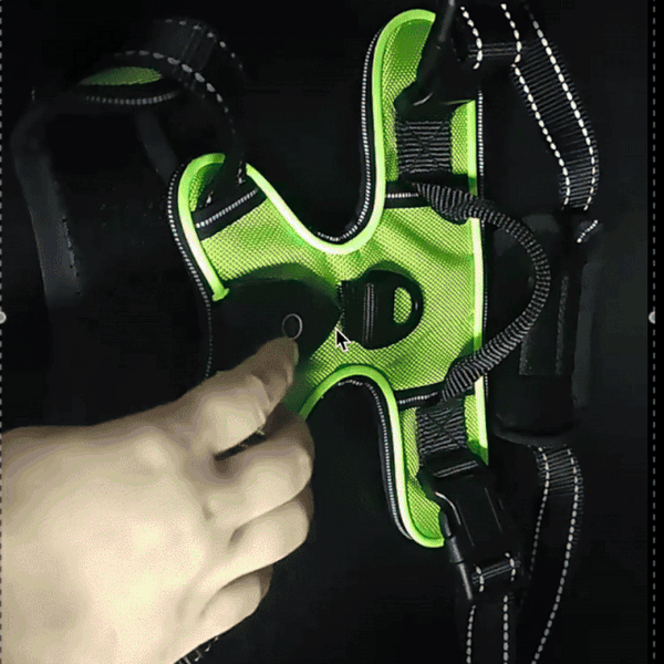 Leuchtende Hundesicherheitsweste