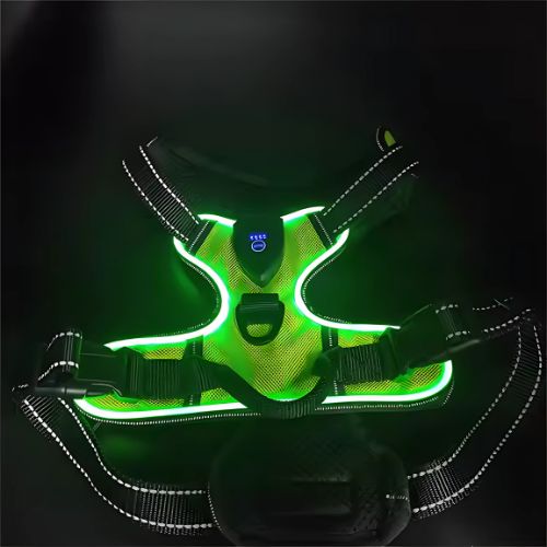 Leuchtende Hundesicherheitsweste