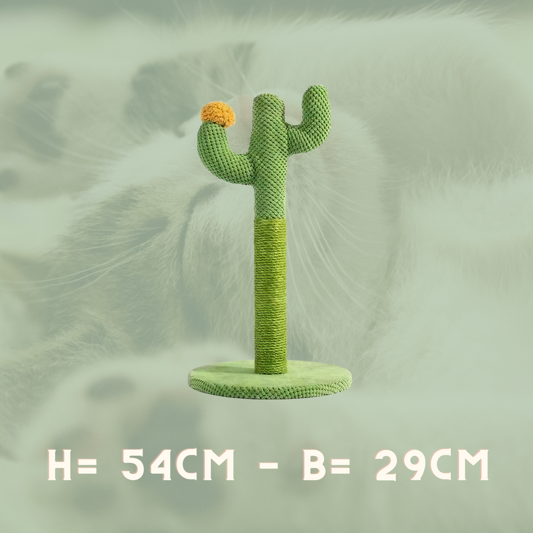 Cactus Cat