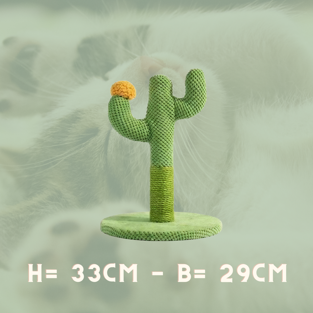 Cactus Cat