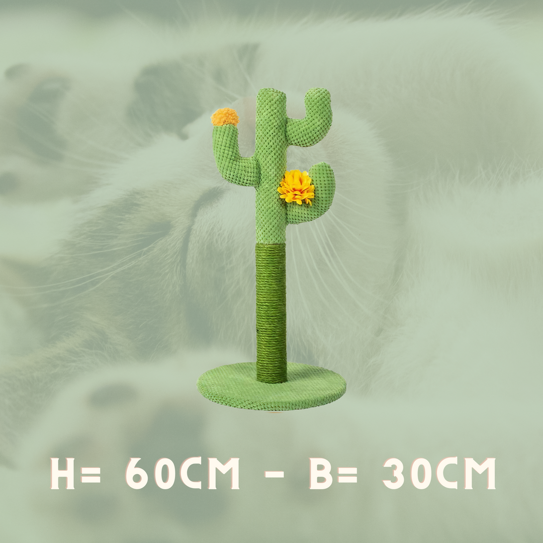 Cactus Cat