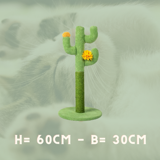 Cactus Cat